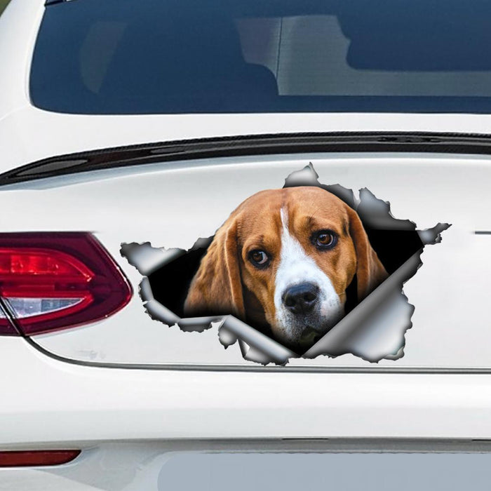 Car Tail Pet Pattern Sticker car organizer