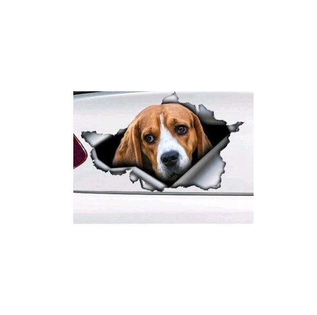 Car Tail Pet Pattern Sticker car organizer