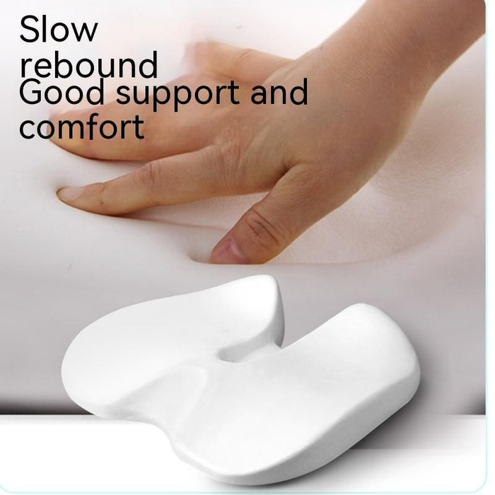 Seat Washer Anal Support Back Pad Tailbone Fracture Caudal Vertebra For Driving